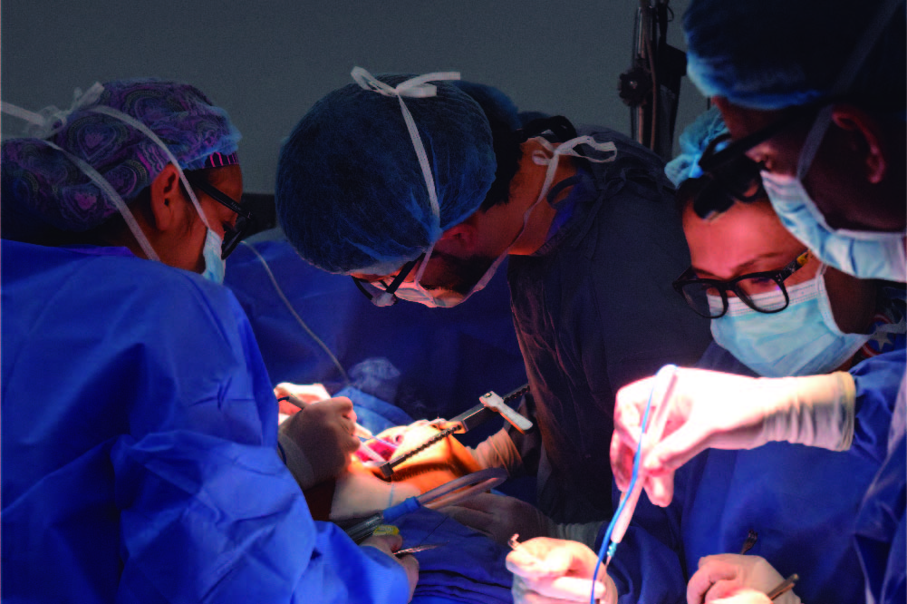 Médicos haciendo una cirugía 