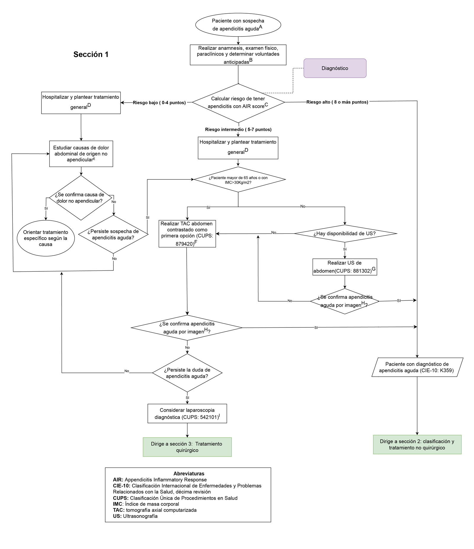 Sección 1 apendicitis