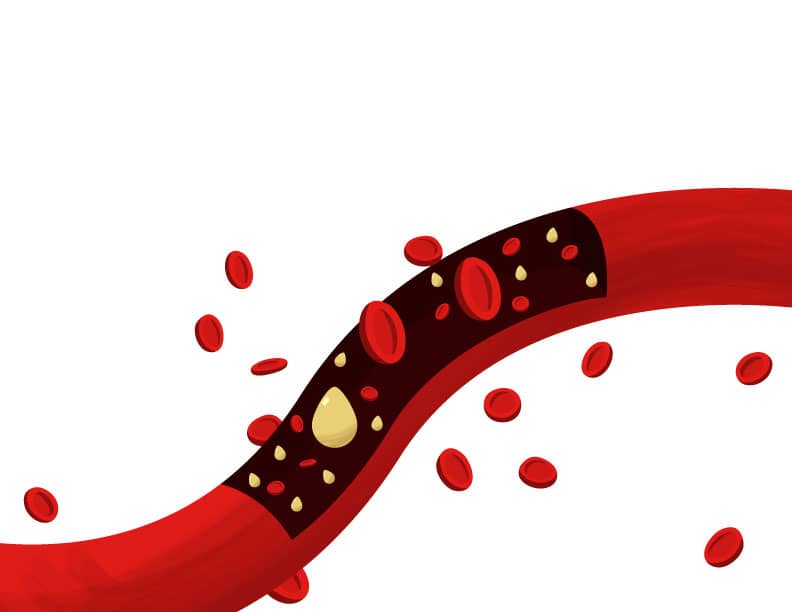 vena con globulos rojos
