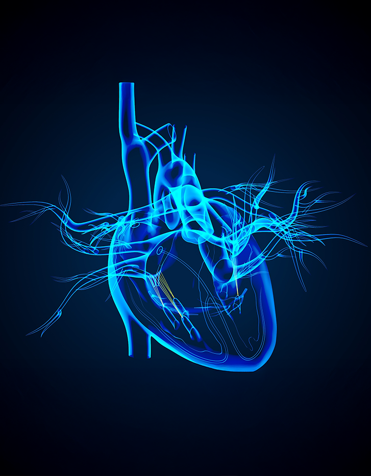 sistema-electrico-corazon