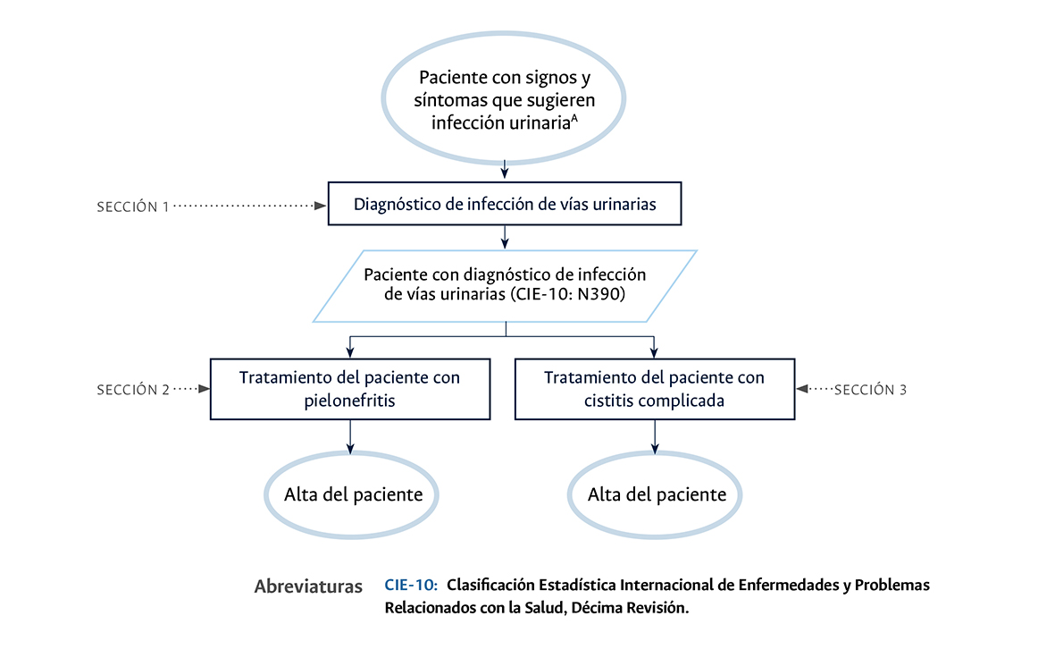 Diagrama 1 IVU