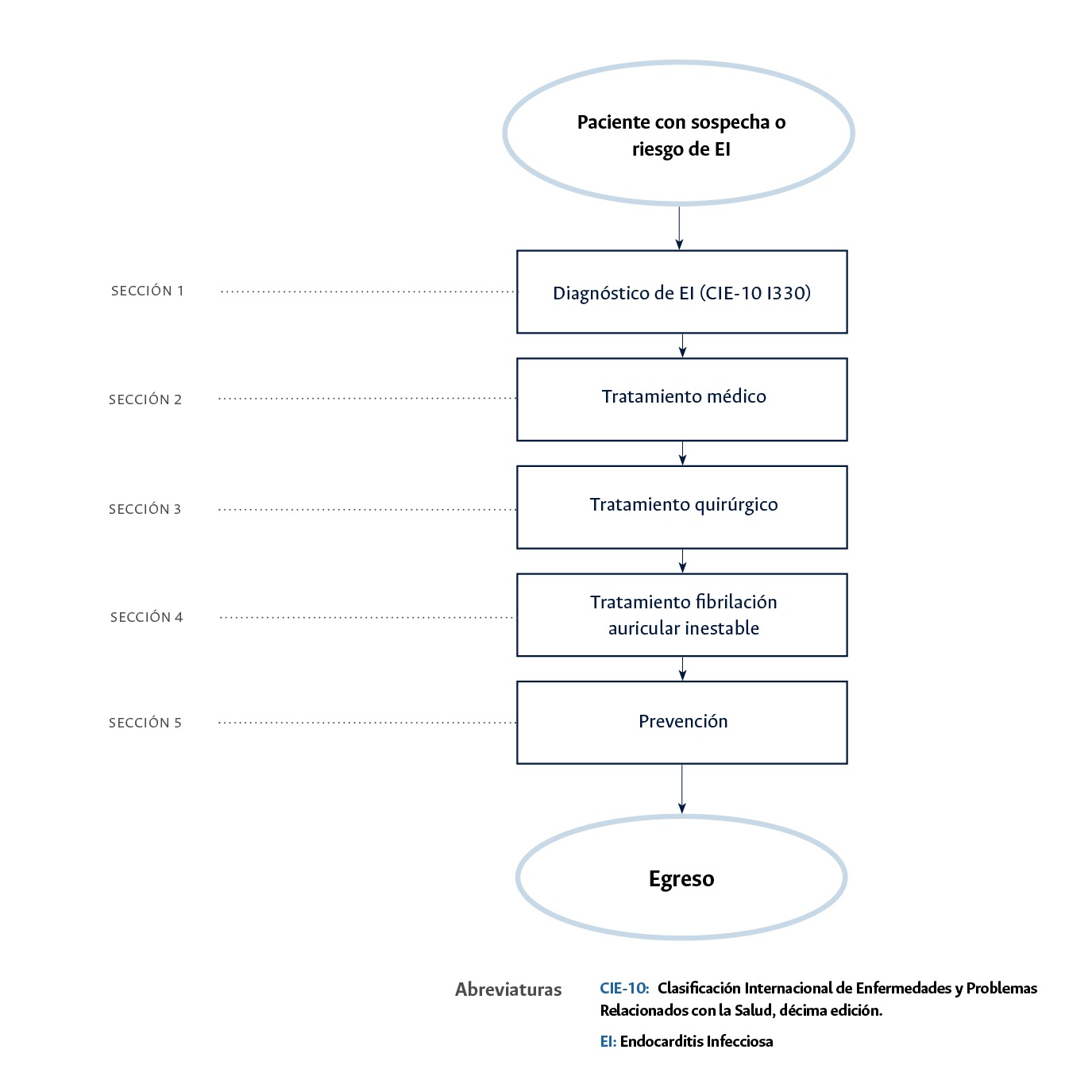 Diagrama-endocarditis con 5 secciones