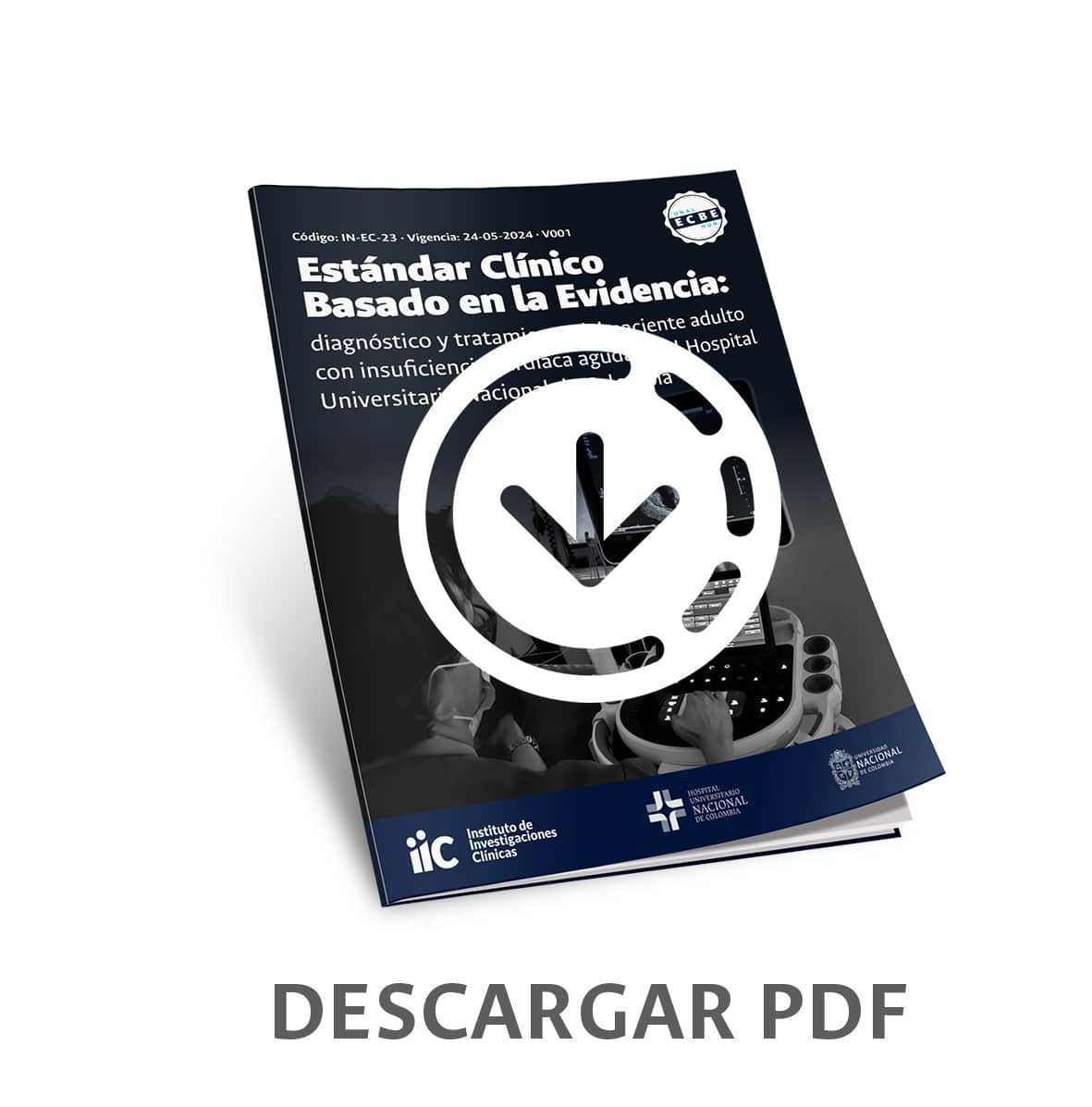 ecbe ica portada clic para abrir