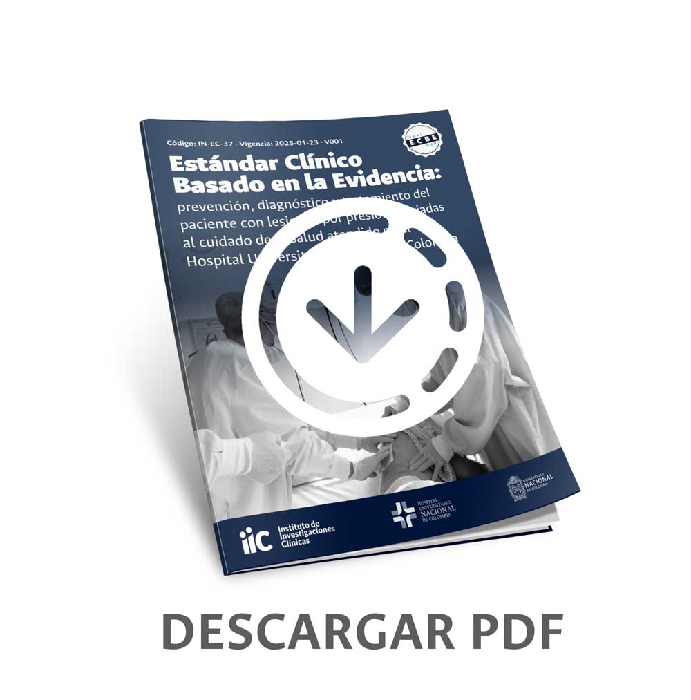 descargar documento lesiones por presión