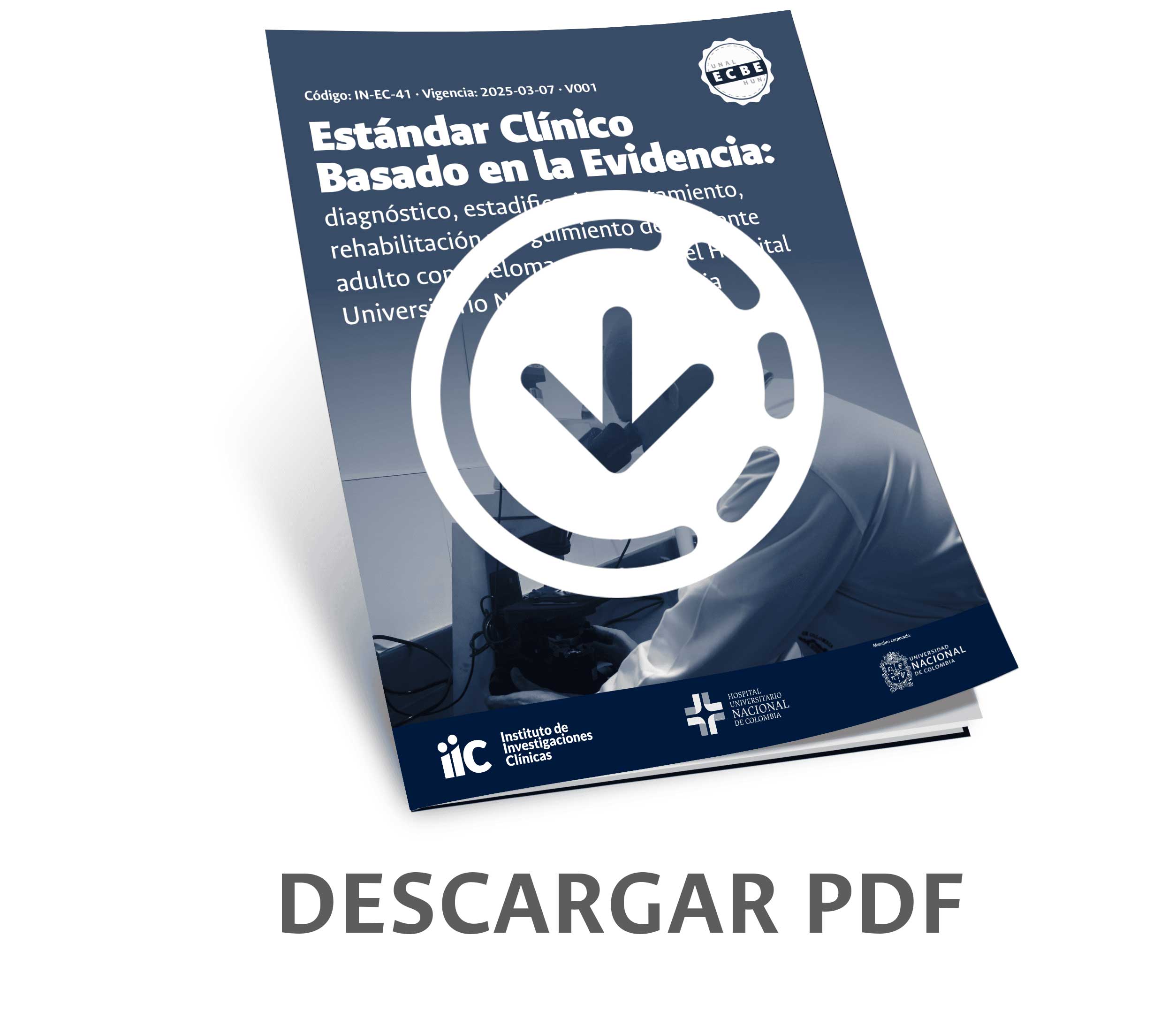 botón para decargar el ecbe en pdf