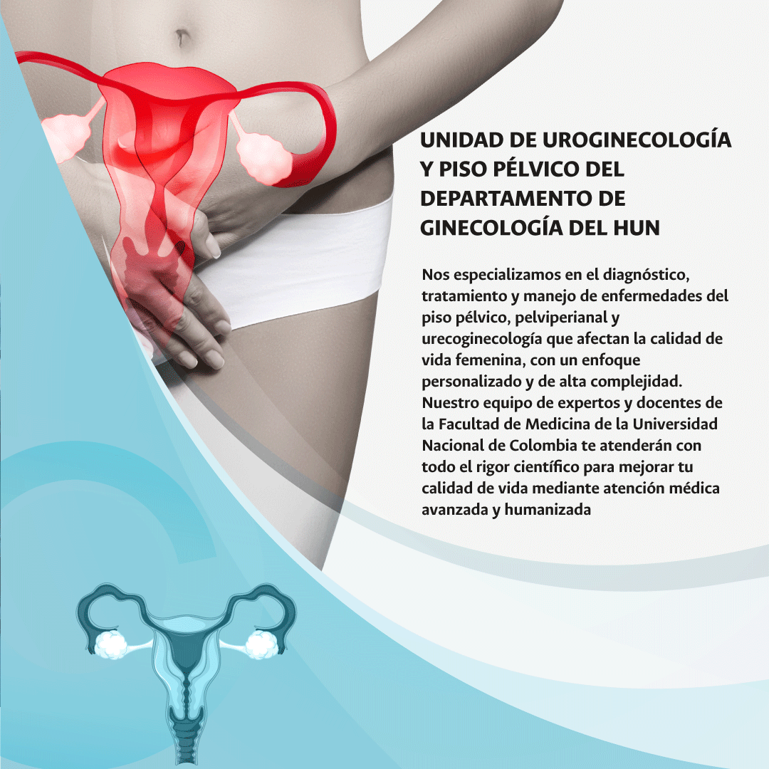 nos especializamos