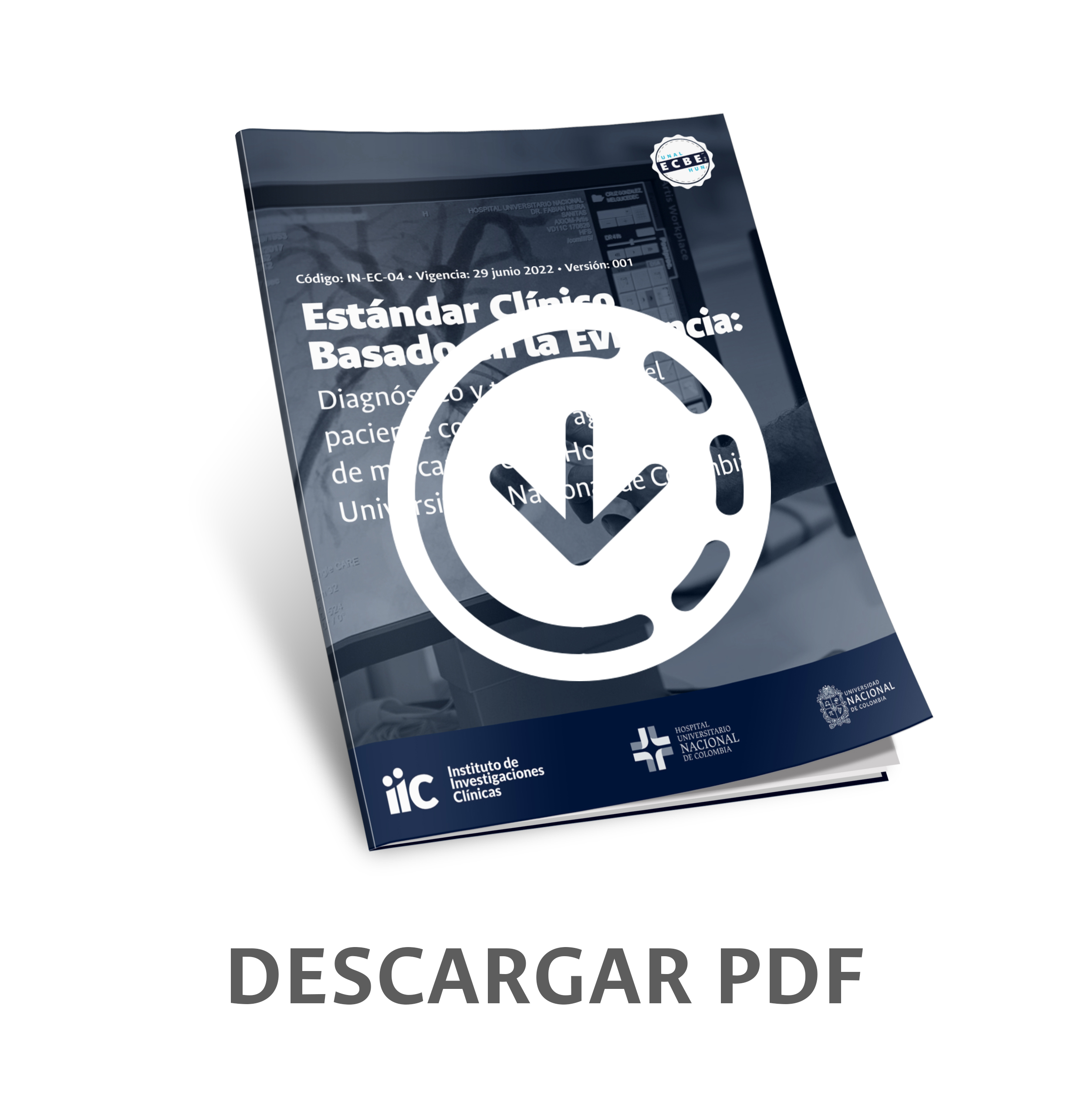 Descargar PDF