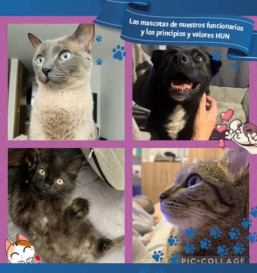 abril, luna limona, lleo