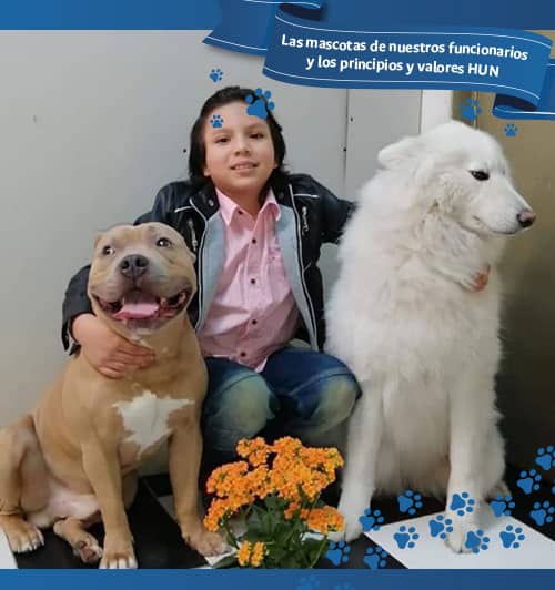 bardak, evoleht y gine