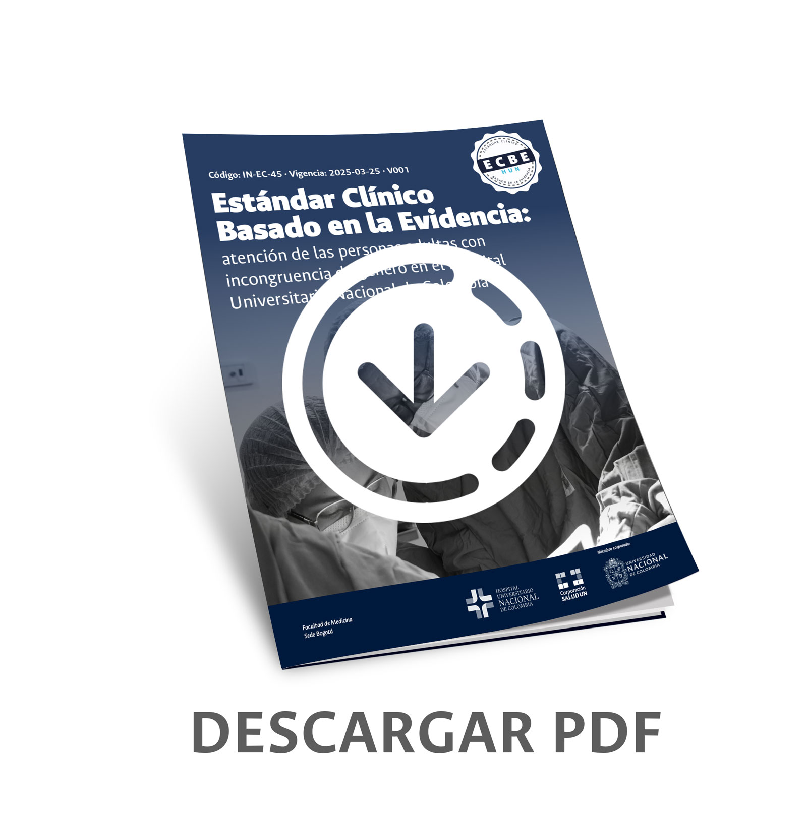 boton de descarga del ecbe