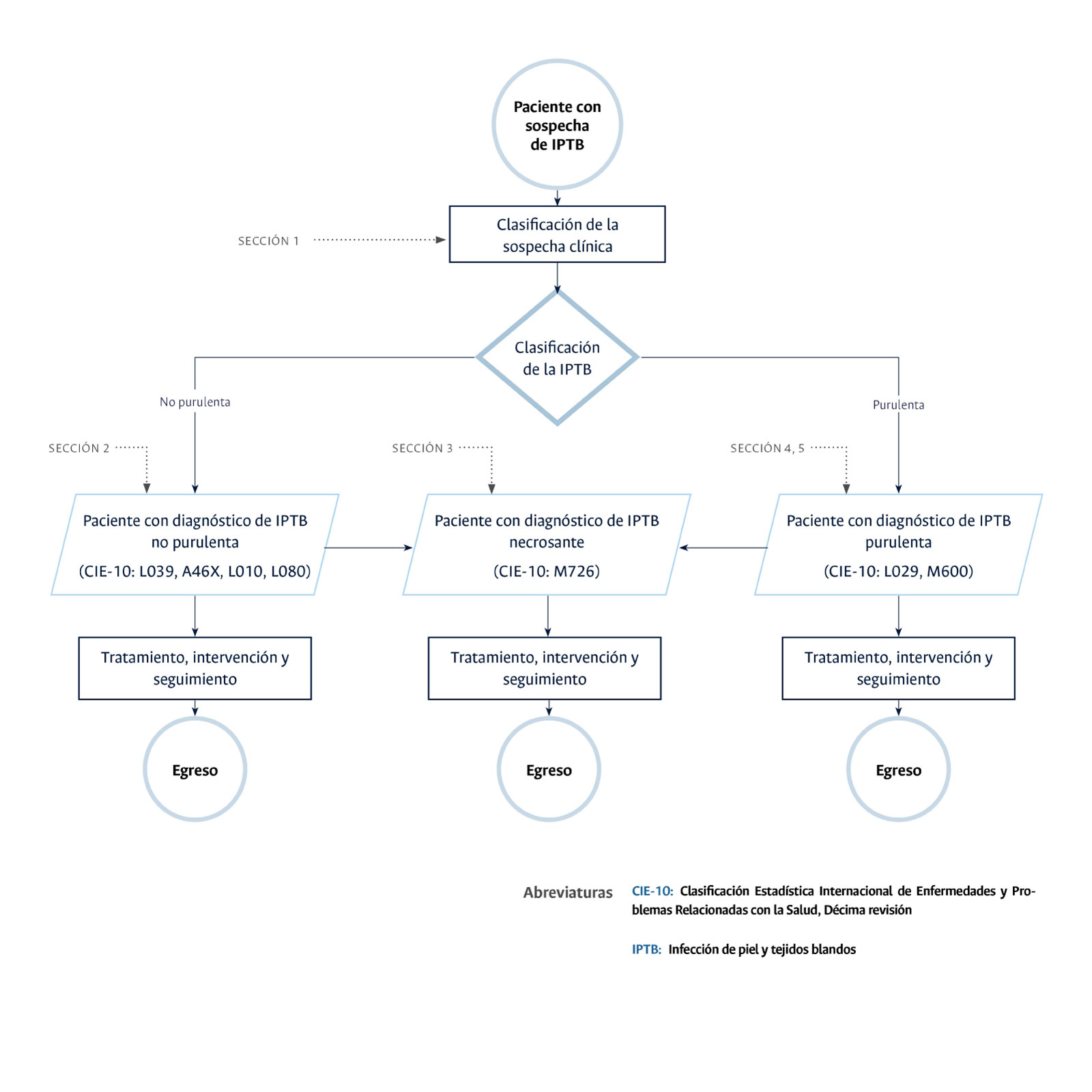 diagrama piel